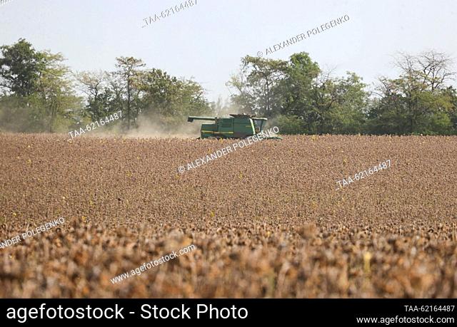 RUSSIA, ZAPOROZHYE REGION - SEPTEMBER 14, 2023: Sunflowers ready for harvesting in a field of branch No 17 Vysokopolye of the State Grain Operator in the...