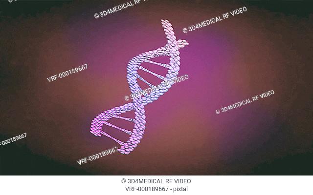 This animation depicts a zoom in on a stylized DNA helix