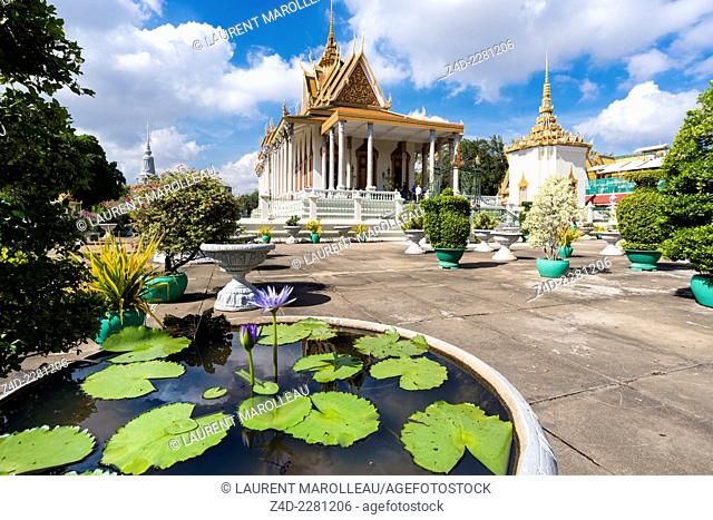 Blue Egyptian Water Lily or Sacred Blue Lily (Nymphaea caerulea) and Silver Pagoda. The Silver Pagoda's proper name is Wat Preah Keo Morokat