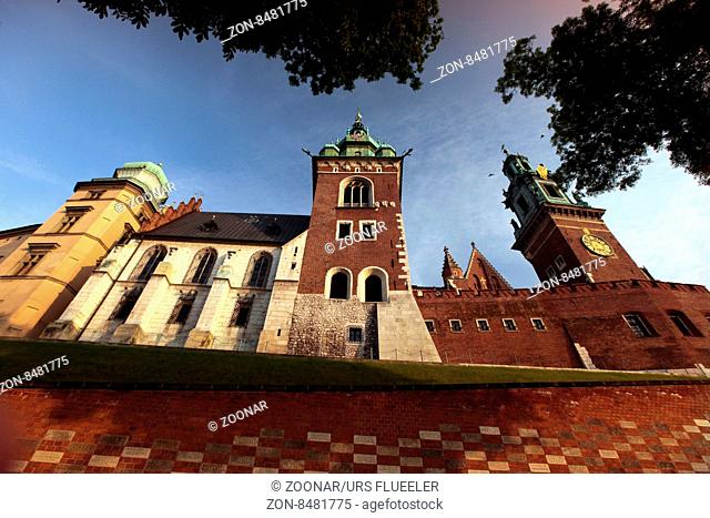 the Wawel Royal Castle on a Hill in the old town of Cracow in Poland in east Europe