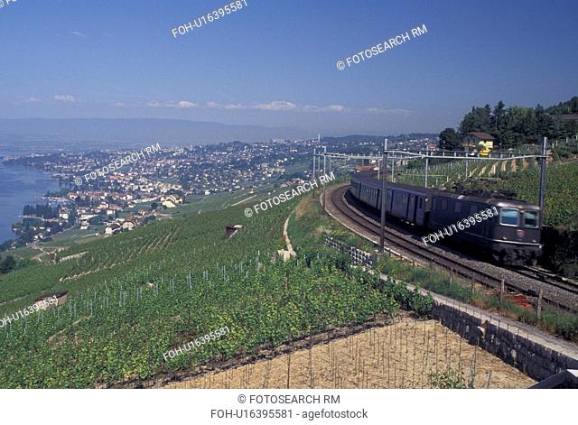 train, Switzerland, Vaud, Lavaux, Lac Leman, Commuter train travels through the steep slopes of the vineyards along Lake Geneva in the Canton of Vaud