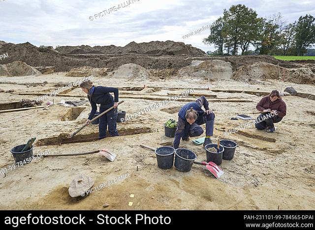 01 November 2023, Brandenburg, Seddin: Students from the Universities of Göttingen and Berlin excavating an assembly hall near the burial mound of ""King Hinz""