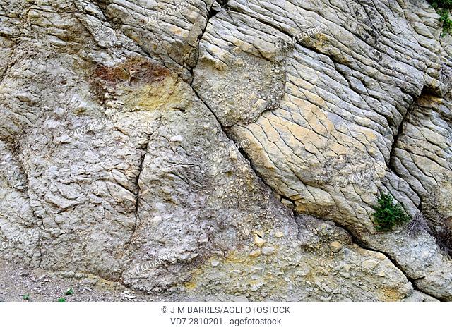 Reverse or thrust fault in limestone. La Noguera, LLeida, Catalonia, Spain