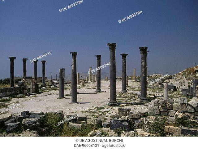 Roman basalt columns of the octagonal Byzantine church, Gadara, Antiochia Semiramis or Seleucia, Umm Qais, Jordan. Early Christian civilization, 6th century AD