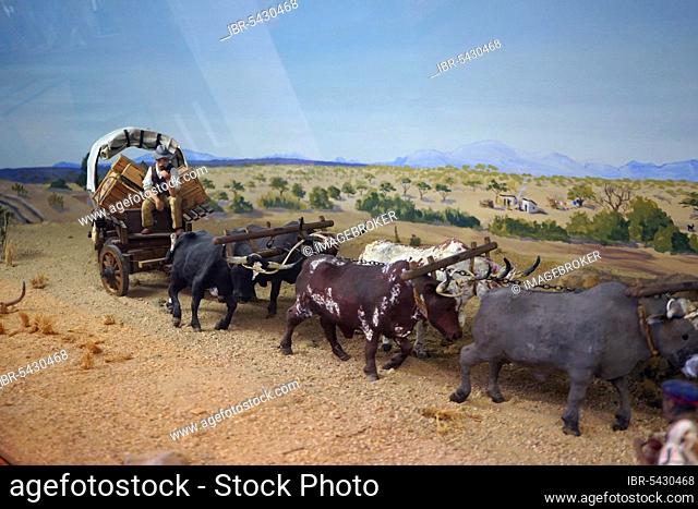 Model of an ox cart, Swakopmund Museum, Swakopmund, Republic of Namibia