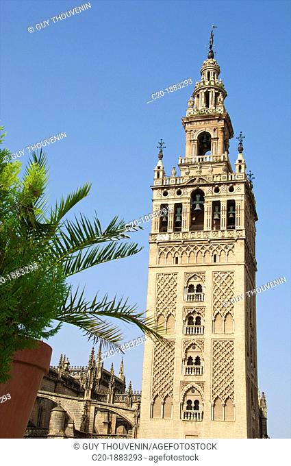 Giralda seen from a terrace , Seville, Andalusia, Spain