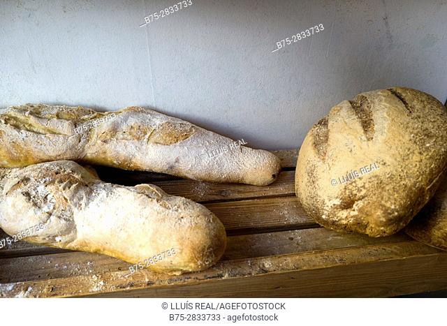 Close up of three ecological breads in a bakery. Sedbergh, Cumbria, West Riding os Yorkshire, Yorkshire Dales, England, UK