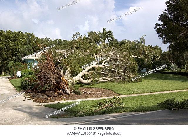 Aftermath of Hurricane Charlie 8/04 Marco Island, Fl
