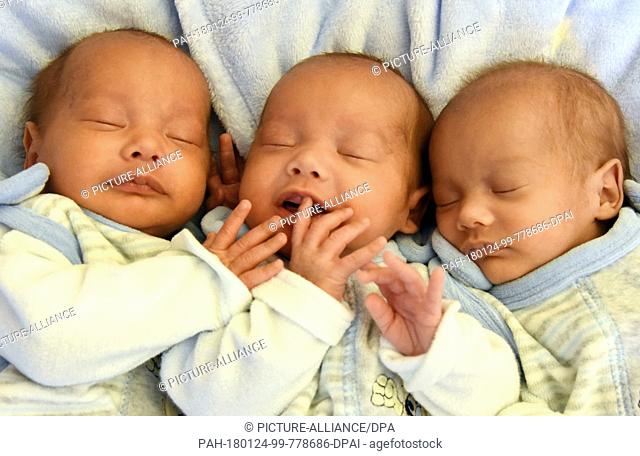 The seven-weeks old triplets Arian, Elias and Ilia waiting together ahead of their release from the St. Elisabeth and St