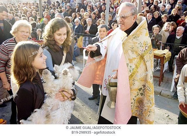 Blessing animals during St. Anthony's local festival. Muro. Majorca, Balearic Islands. Spain
