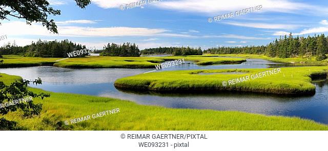 Panorama of tide pool water with salt marsh cordgrass on Cape Sable Island Nova Scotia