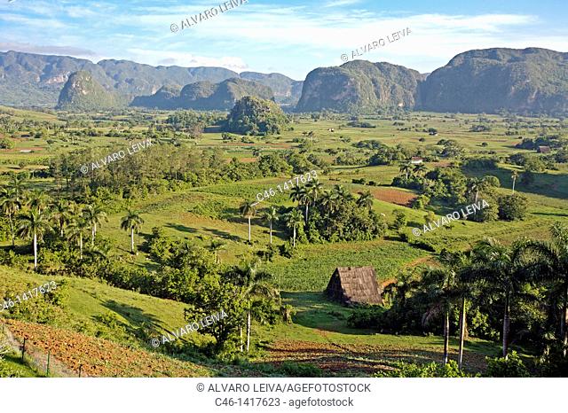 'Mogote' typical outcrop Dos Hermanas in Viñales Valley  Pinar del Río province, Cuba