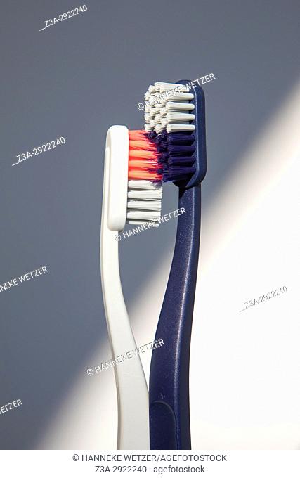 Two toothbrushes caressing each other