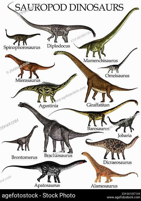 Sauropod dinosaurs set isolated in white background - 3D render