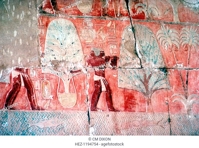 Wall painting:returning from the expedition to the Land of Punt, Temple of Queen Hatshepsut, Luxor, Egypt, c1470 BC. Queen Hatshepsut reigned between 1479 BC...