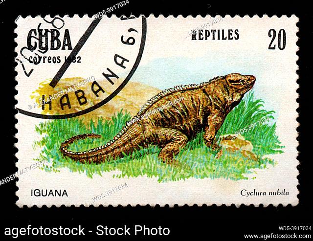 Cuba - CIRCA 1982: Cuban postage stamp featuring iguana. Cyclura nubila on postage stamp. vintage stamp for letters isolated on black