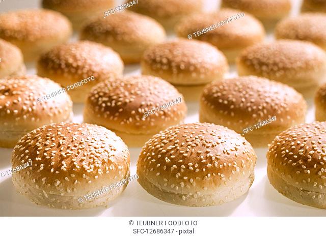 Hamburger buns with sesame seeds