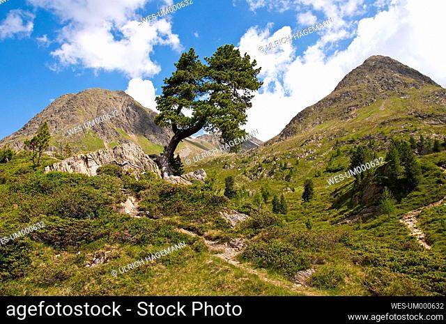 Italy, South Tyrol, Puster Valley, Antholz-Obertal, Staller Saddle
