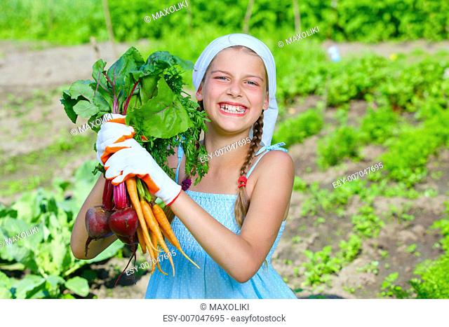 Vegetable garden - little gardener with bunch of organic carrots and beets