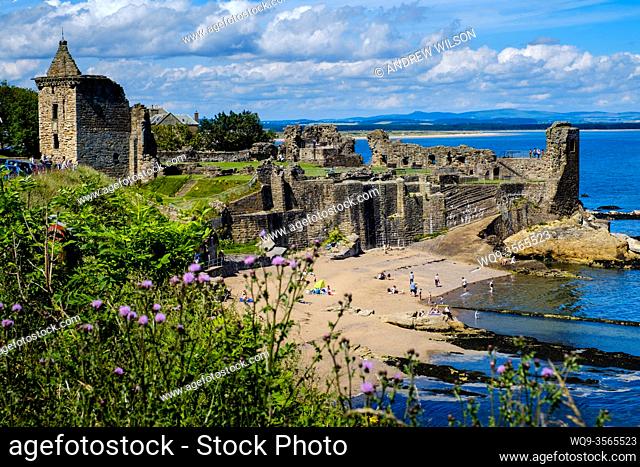 The beach and ruins of St Andrews Castle, St Andrews, Fife, Scotland