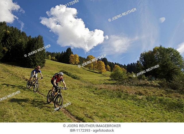 Mountainbikers in Aschau, Tyrol, Austria, Europe