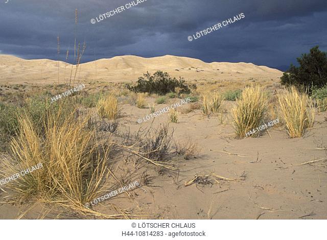 Kelso Sand dunes, Mojave desert National Preserve, California, USA, America, North America, landscape