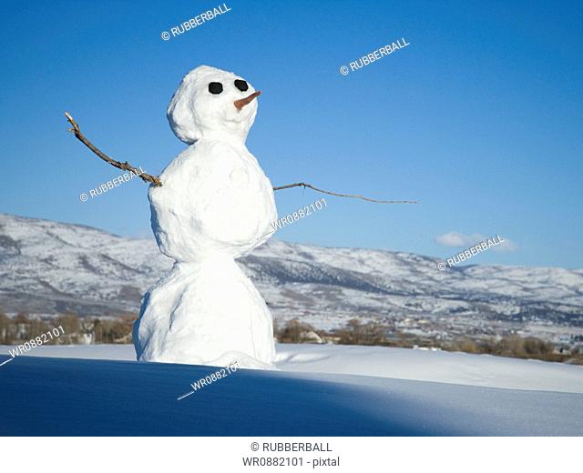 Close-up of a snowman on a hill