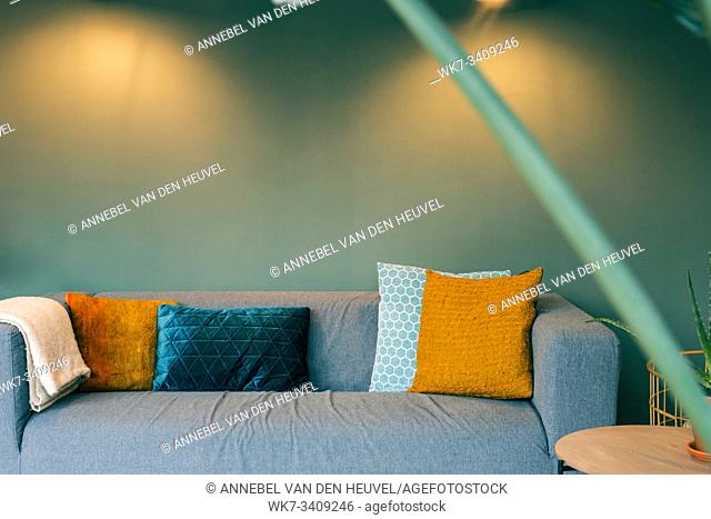modern living room sofa and green wall and yellow pillows, scandinavian design cloe-up