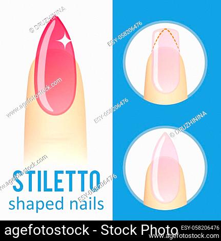 Professional female manicure different shapes of nails. Nails trends, Stock  Vector, Vector And Low Budget Royalty Free Image. Pic. ESY-052238732 |  agefotostock