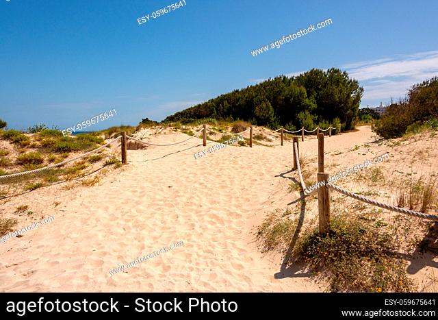 Sand paths through the protected dunes to Cala Agulla beach on the Spanish holiday island of Mallorca