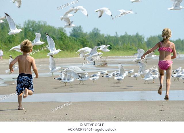 Young children chasing seagulls and otherwise playing on the beach on Lake Erie, Ontario