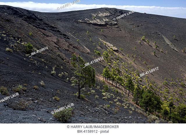 Crater of the volcano de San Antonio, near Fuencaliente, La Palma, Canary Islands, Spain