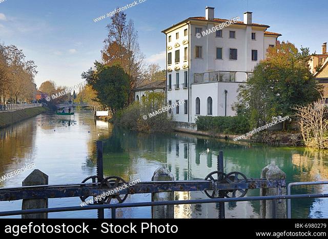 The River Sile at Corso del Popolo, Treviso, Veneto Veneto, Italy, Europe