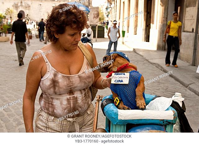 Performing Dog, Old Havana, Havana, Cuba