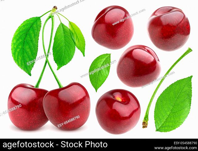 Cherries collection. Cherry isolated on white background
