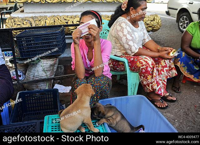 Yangon, Myanmar, Asia - Street hawkers at the roadside offer dog puppies in baskets for sale