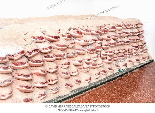 Salting process of iberian ham. Meat industry concept