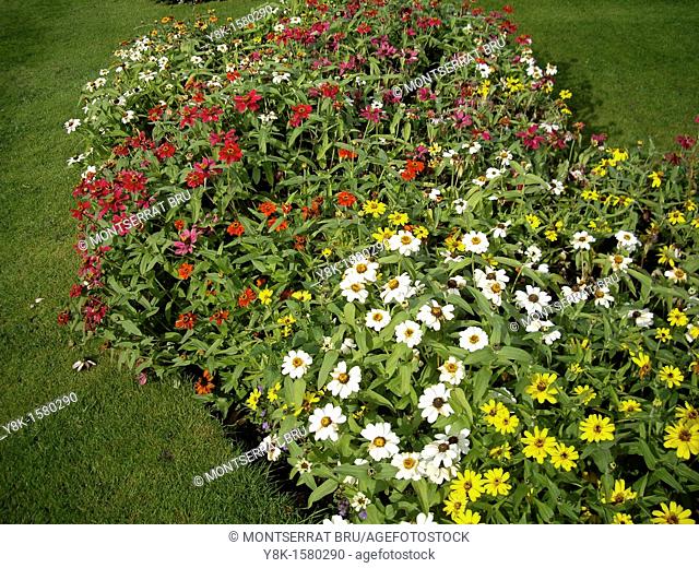 Tong shaped flowerbed