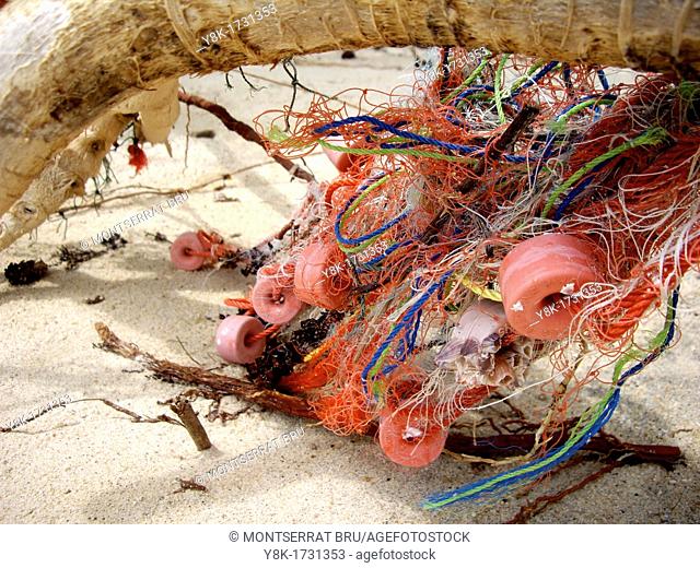 Fishing net with floaters tangled on tree branch at Ban Tai beach, Koh Phangan, Thailand
