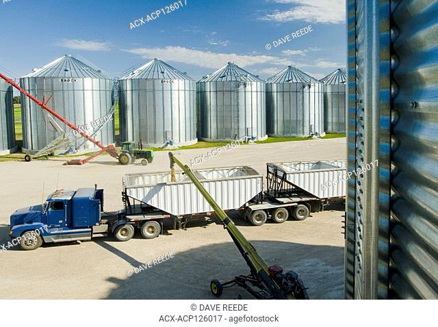 a super B grain truck being loaded with barley from grain storage bins near St. Jean, Manitoba, Canada