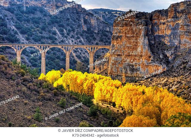 Hoces del Riaza Natural Park. Maderuelo. Segovia province. Castilla y Leon. Spain