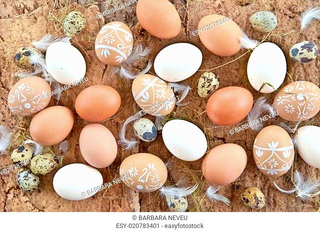 Hintergrund mit verschiedenen Eiern