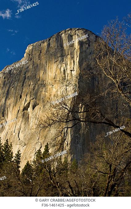 El Capitan in early Spring, Yosemite Valley, Yosemite National Park, California