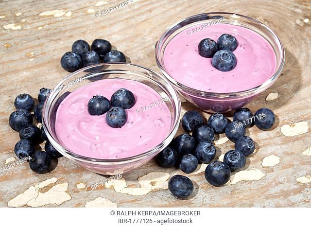 Glass bowl with yogurt and blueberries