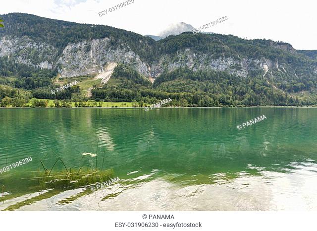 Idyllic Alpine lake Mondsee landscape, Austria. Focus on foreground