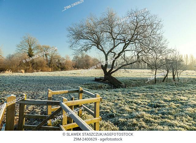 Frosty winter morning in Ouse Valley near Lewes, UK