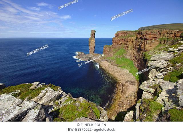 sea stack Old Man of Hoy, United Kingdom, Scotland, Orkney, Hoy