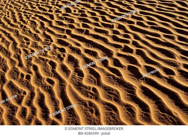 Sand ripples, texture on a sanddune, Sahara desert, North Africa, Algeria