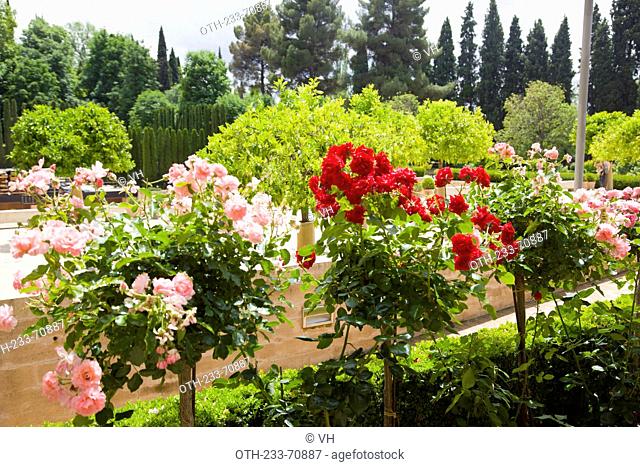 Generalife gardens, Alhambra, Granada, Andalucia, Spain, Europe
