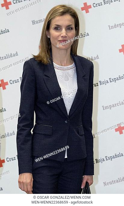 Queen Letizia of Spain meets with members of the Spanish Red Cross at the Red Cross headquarters in Madrid Featuring: Queen Letizia of Spain Where: Madrid